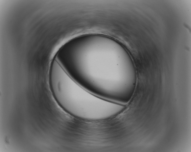 X0000097821512200803140754