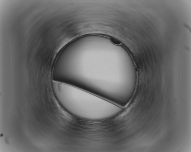 X0000097821513200803140754