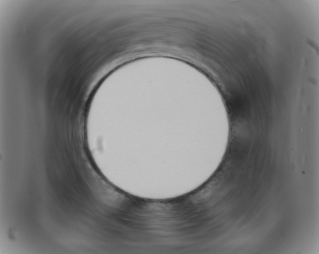 X0000097821514200803140754