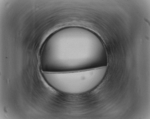 X0000097821515200803140754