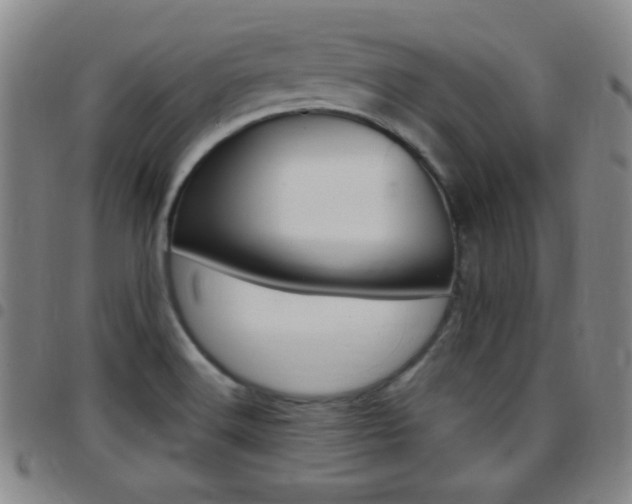X0000097821516200803140754