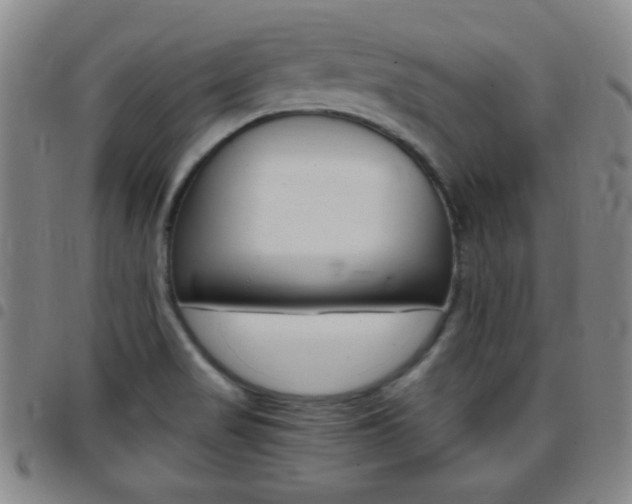 X0000097821517200803140754