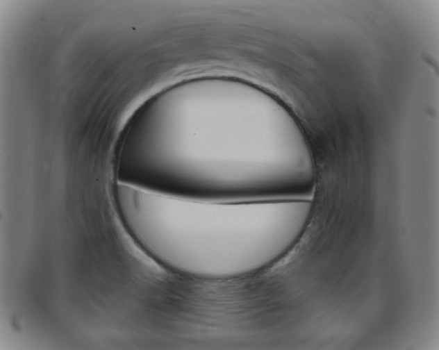 X0000097821518200803140754
