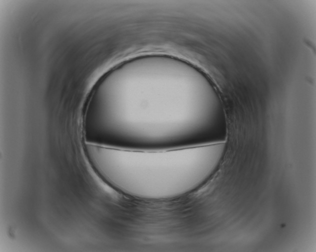 X0000097821519200803140754