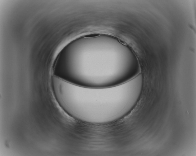 X0000097821520200803140754