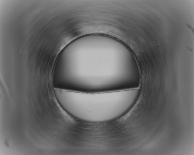 X0000097821521200803140755