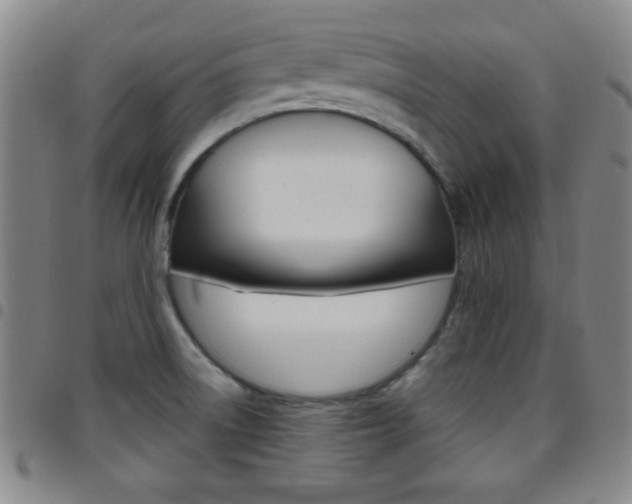 X0000097821522200803140755