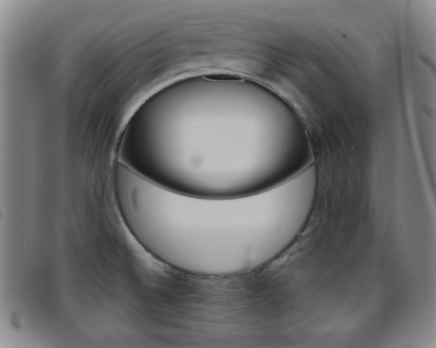 X0000097821524200803140755