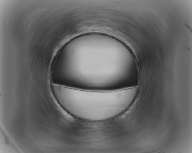 X0000097821525200803140755