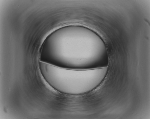 X0000097821526200803140755