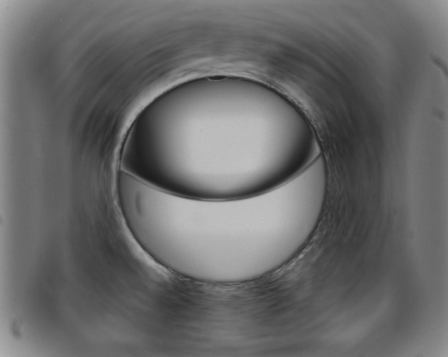 X0000097821528200803140755