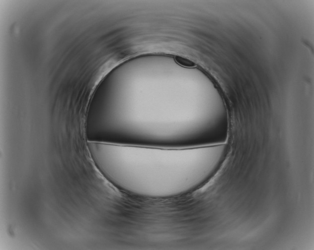 X0000097821529200803140755