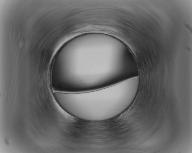X0000097821531200803140755