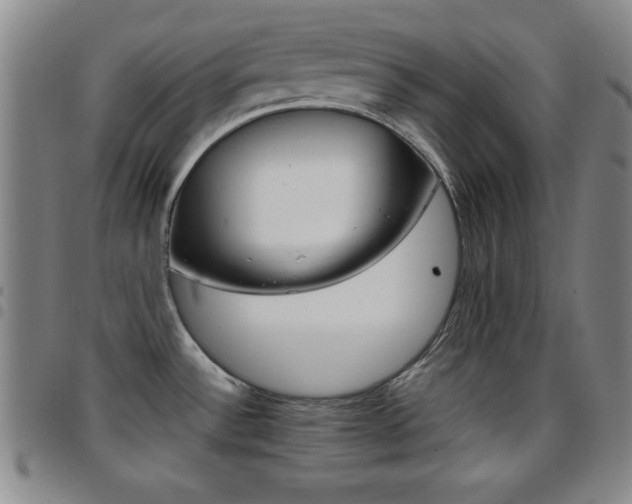 X0000097821532200803140755