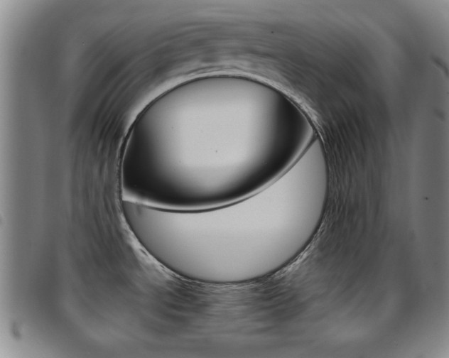 X0000097821534200803140755