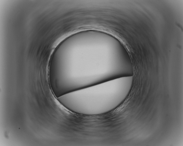 X0000097821535200803140755