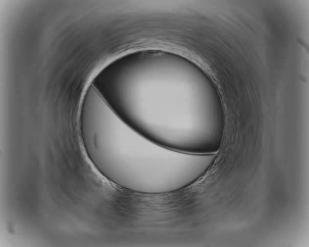 X0000097821536200803140755