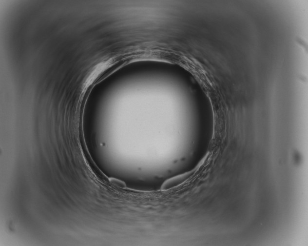 X0000097820003200803141151