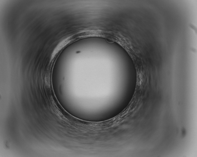 X0000097820004200803141151