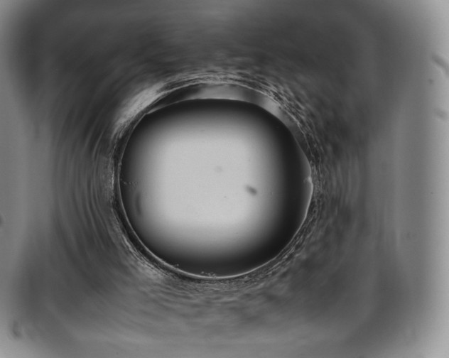 X0000097820005200803141151