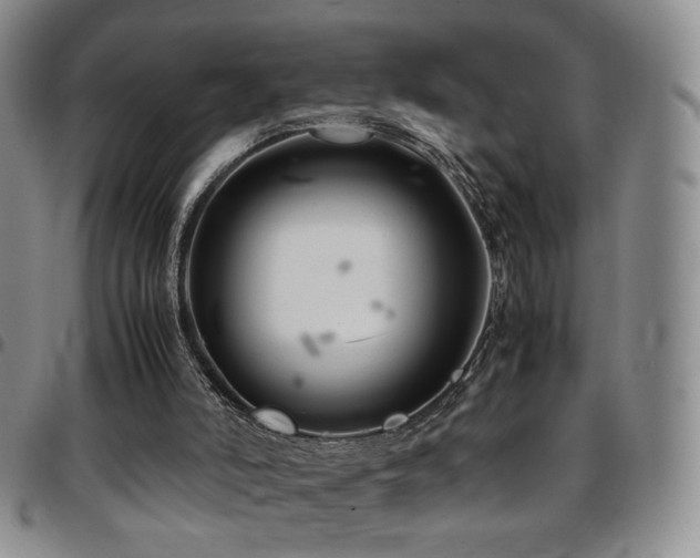 X0000097820006200803141151