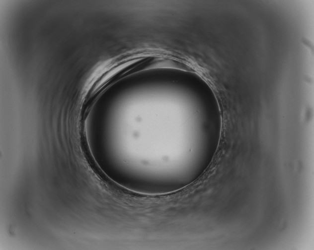 X0000097820007200803141151