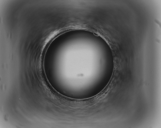 X0000097820008200803141151