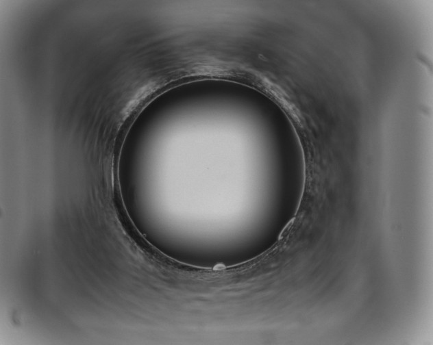 X0000097820011200803141151