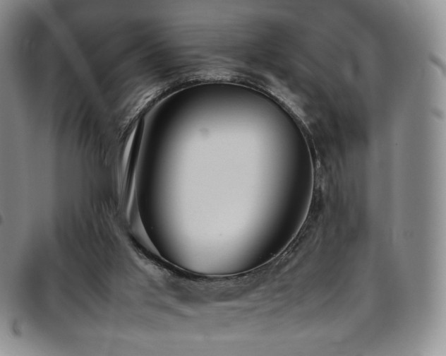 X0000097820013200803141151