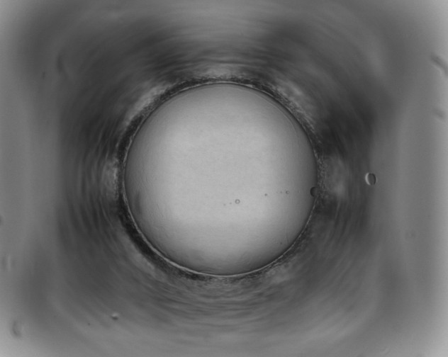 X0000097820016200803141151