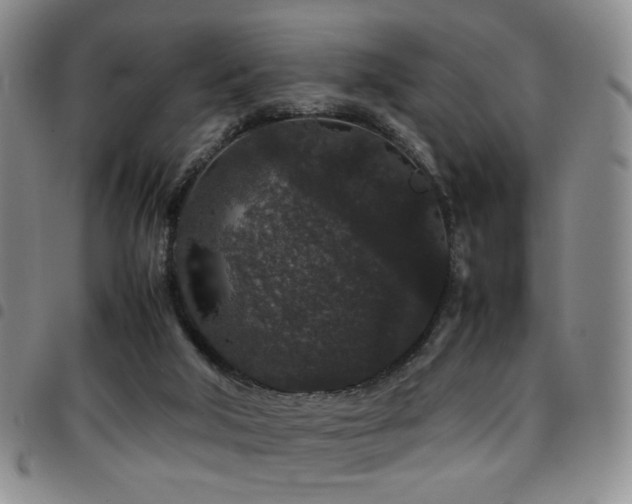 X0000097820018200803141151