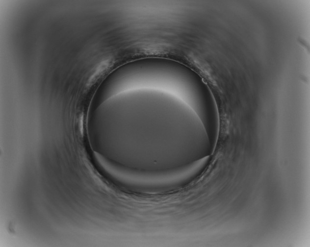 X0000097820019200803141151