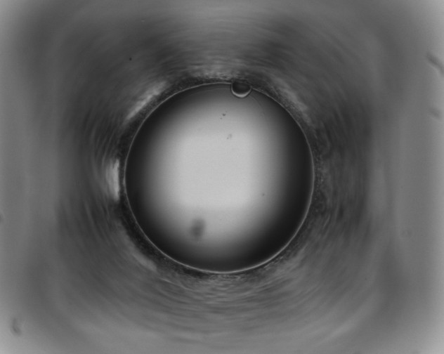 X0000097820020200803141151