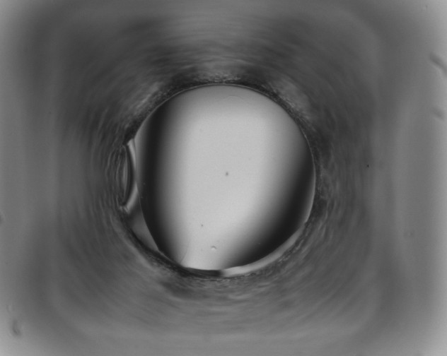 X0000097820021200803141151