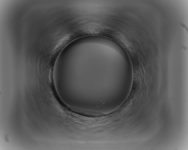 X0000097820023200803141151