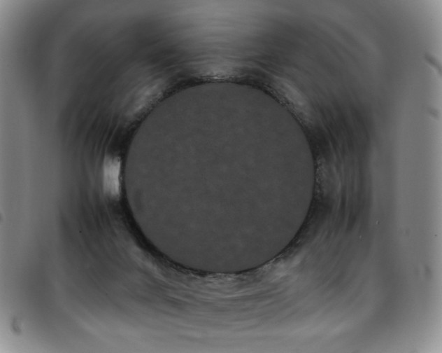 X0000097820024200803141151