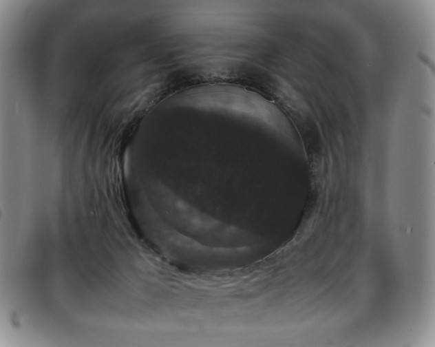 X0000097820029200803141151