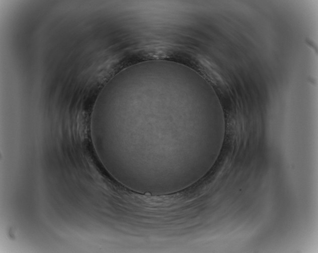 X0000097820030200803141151