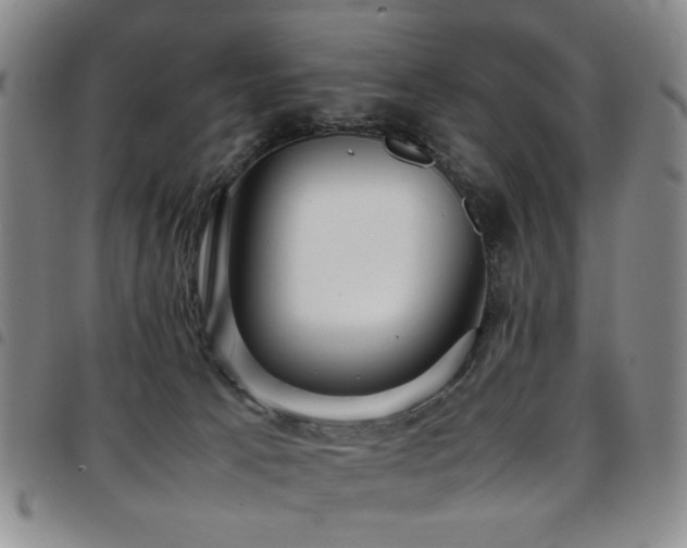 X0000097820033200803141151