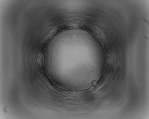 X0000097820036200803141151