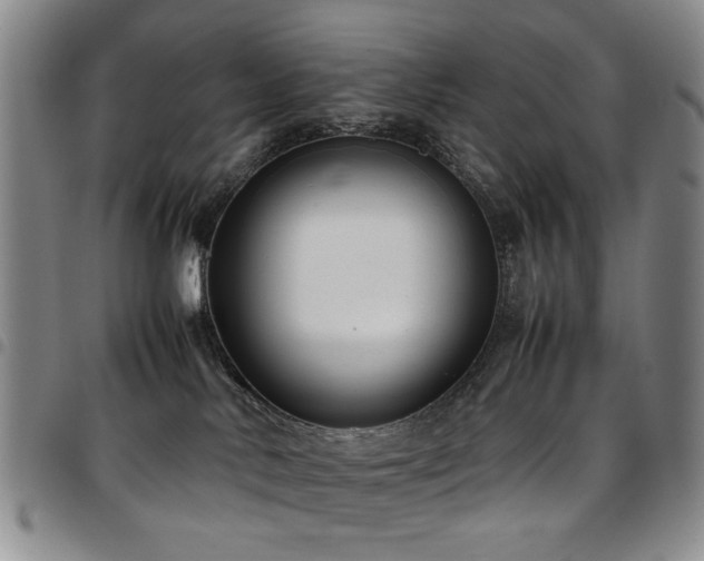 X0000097820042200803141151