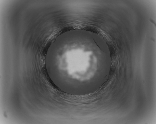 X0000097820043200803141151