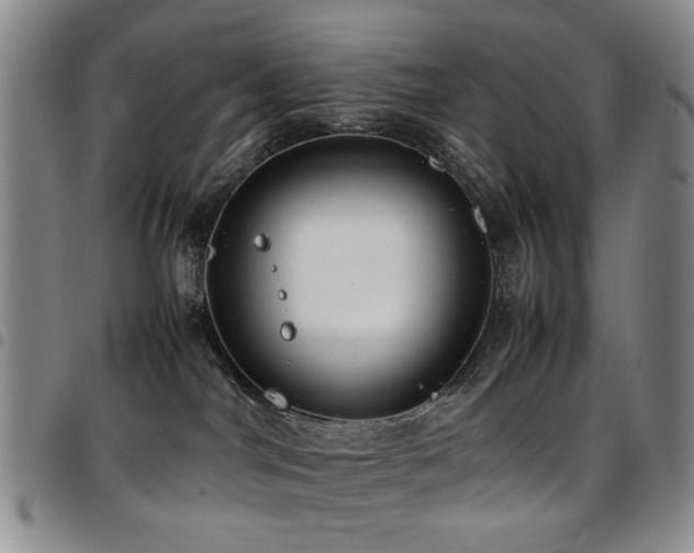 X0000097820044200803141151