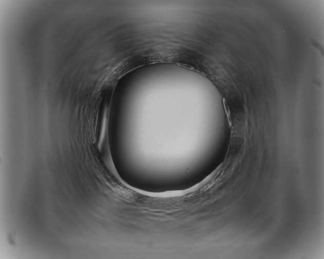 X0000097820045200803141151