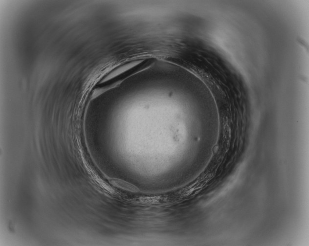 X0000097820049200803141150