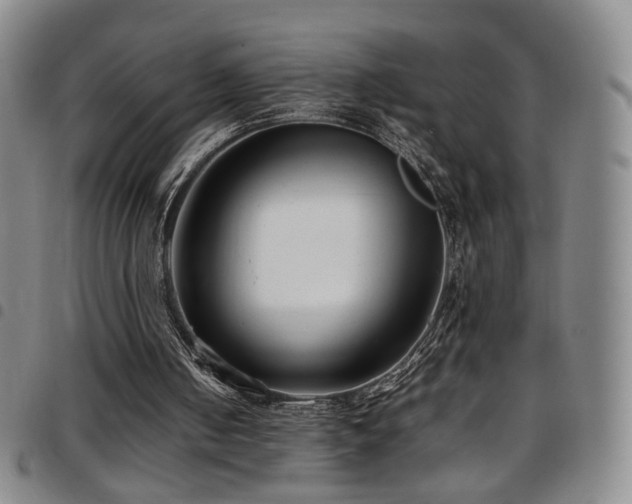 X0000097820050200803141150