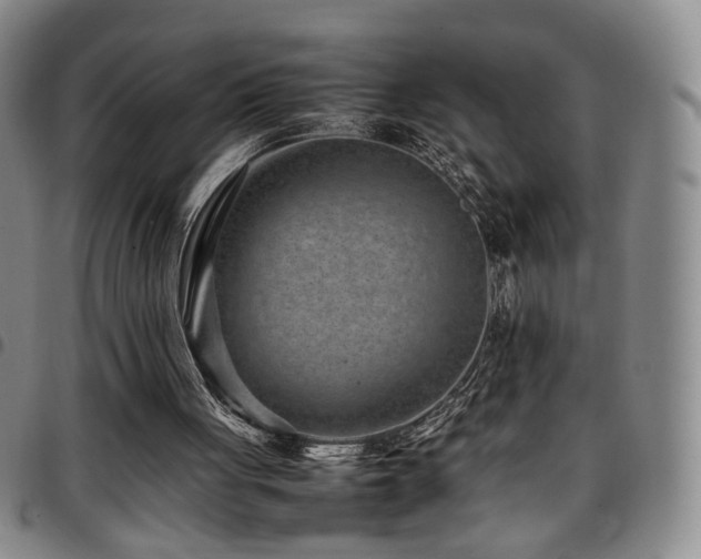 X0000097820051200803141150