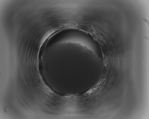 X0000097820052200803141150