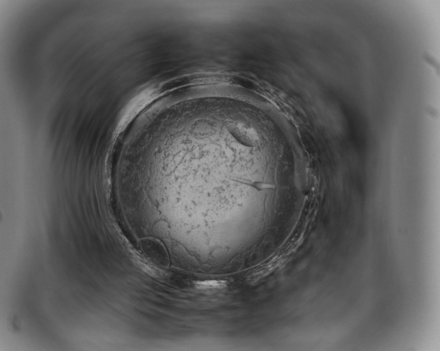 X0000097820053200803141150