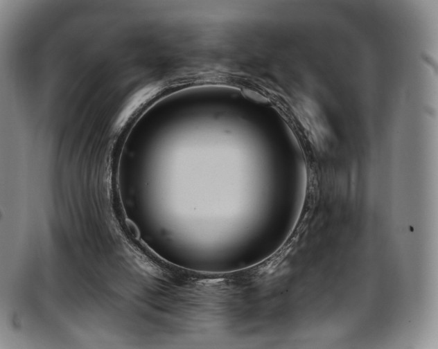 X0000097820054200803141150